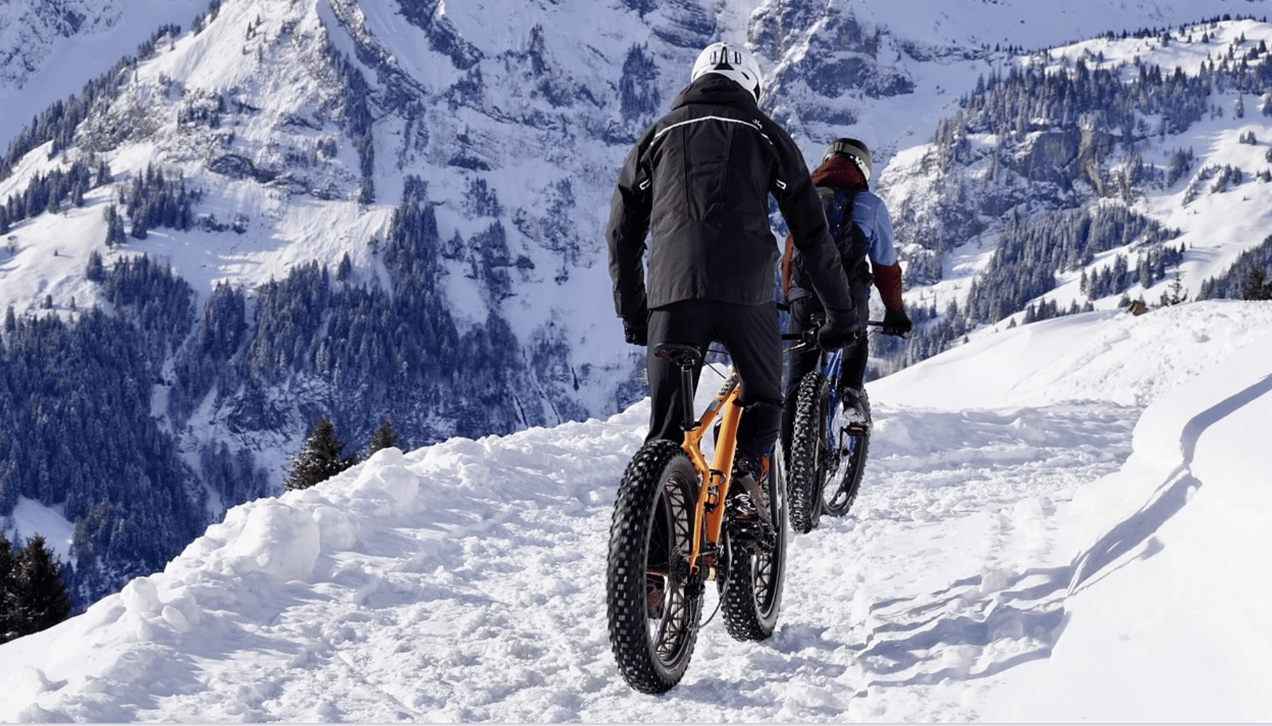 Electric Mountain Bicycle