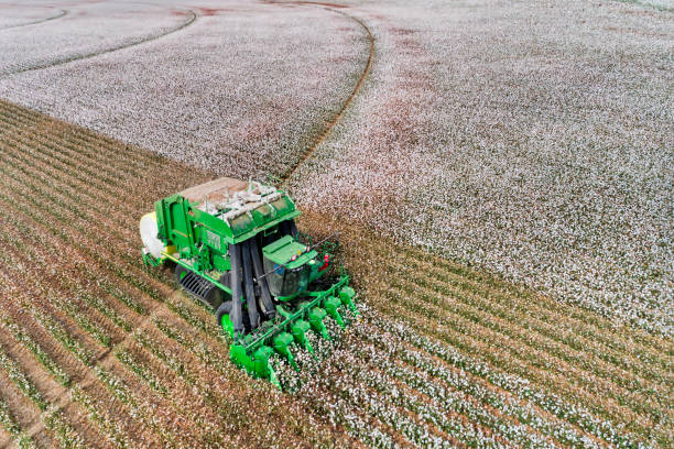 cotton-combine-front-above-close-picture-id1151706594 cotton combine front above close picture id1151706594