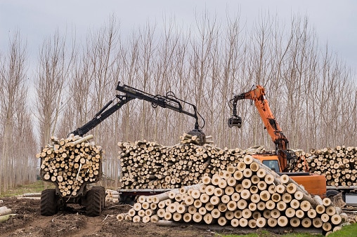 cranes for logs and woodpiles picture id528983869 1